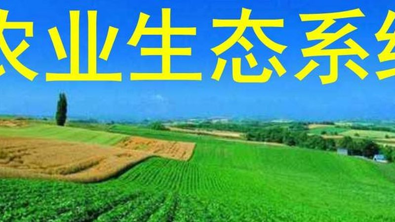 绿色食品认证续展，这些时间要求你必须知道**