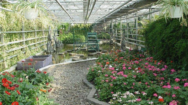蔬菜水果配送报价单模板：制作指南与关键要素解析