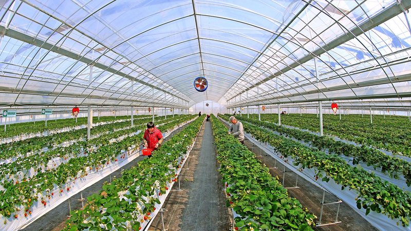 家庭农场升级，种植设备选哪家？**