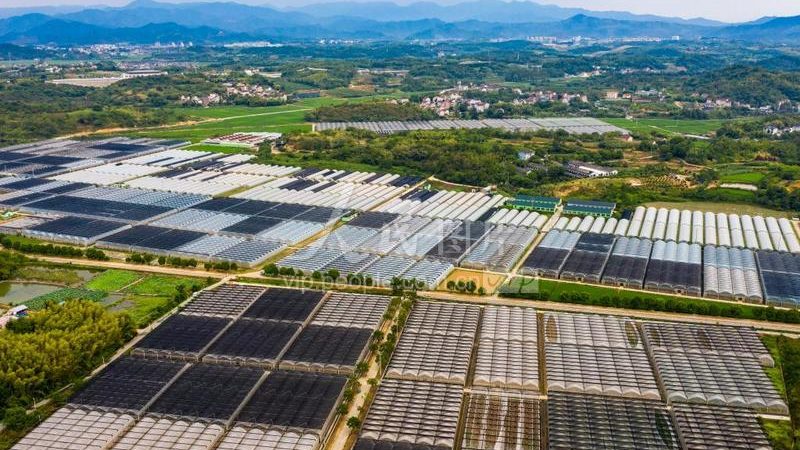农村合作社价格报价：揭秘合作社采购的五大关键因素