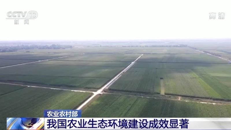 绿色食品，从源头到餐桌的守护者