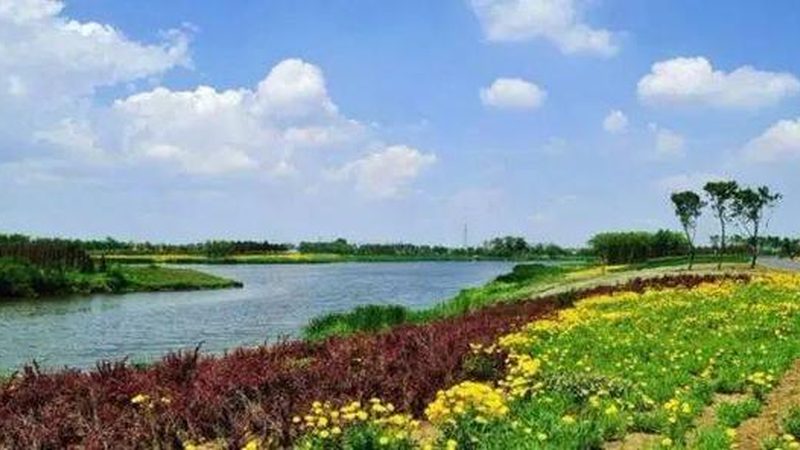 农资展会规模规格全解析：揭秘行业盛会背后的秘密