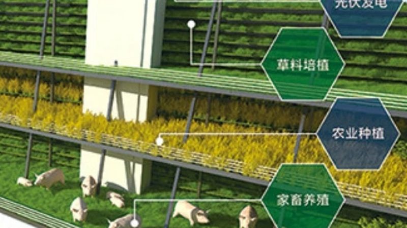 现代农业与生态农业区别问答