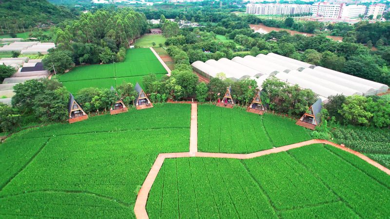 打造现代农业观光园：设计方案关键要素解析