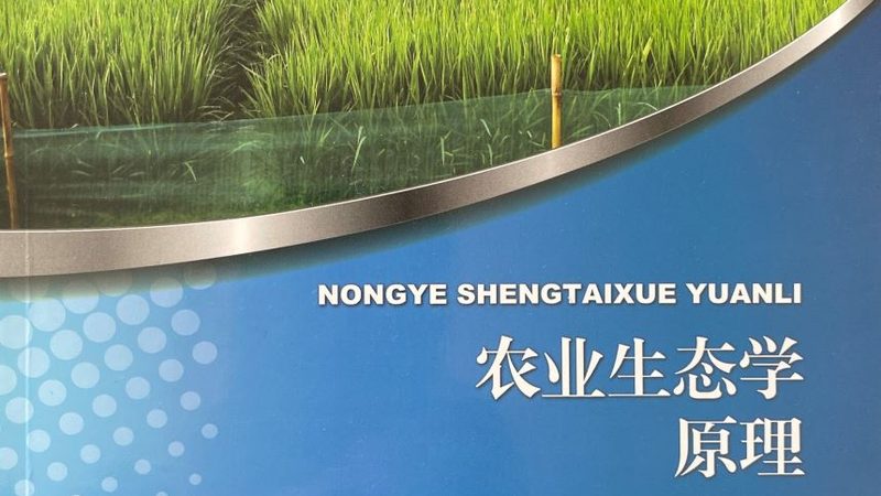 农业项目生产流程：从播种到收获的完整步骤**