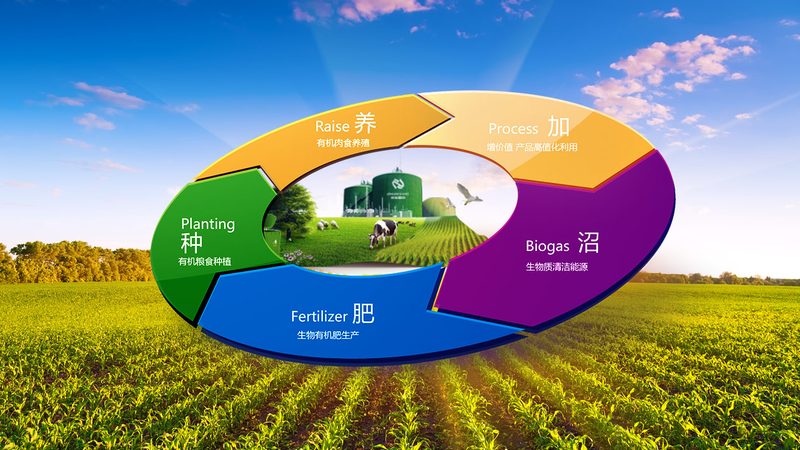 农产品批发质量安全标准：解码最新规范**