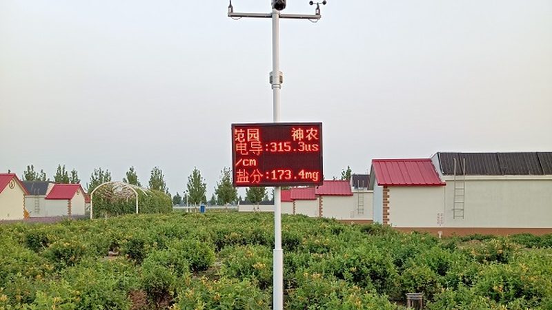 粮食种子批发，如何避免陷入价格陷阱？**