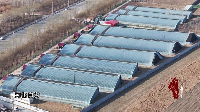 绿色食品认证，为农产品品质保驾护航