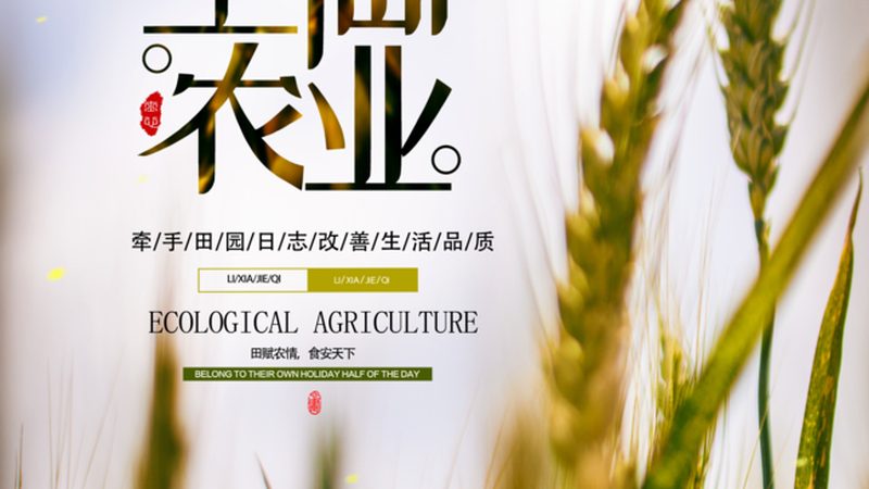 农业产业园规划建设：标准要求与关键要素**